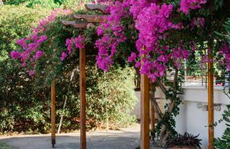 Villa Villino Blu by the sea - Foto 24