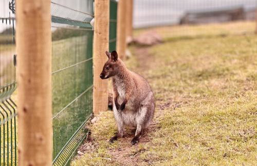 Parlour Barn - Photo 54