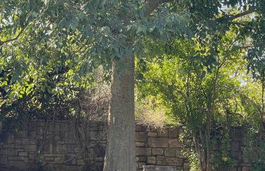 Villa Melissa - Istrisches Steinhaus mit Pool in guter Lage Nähe Poreč - Foto 11