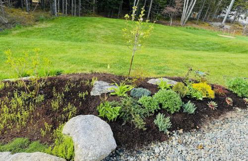 Tide Song -10D - Foto 46