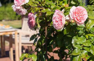 Reethus Glücklicher Matthias Hausteil Waasterlun - Foto 28