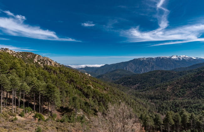 Migone de Sampolo - Foto 31