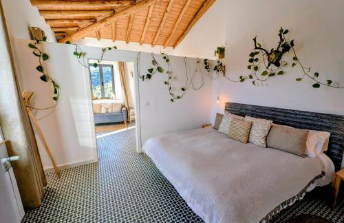 Finca Bravo - Foto 2