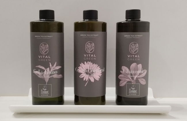 Apartamentos Best Alcazar - Foto 29