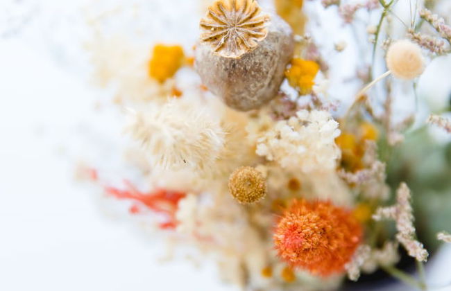 Home Made Guest Studios - Foto 41