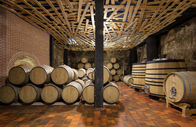 Visite du vignoble Menade - Photo 6