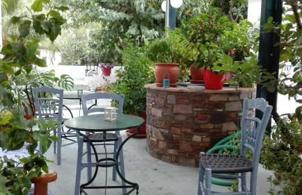 Plumeria Flowery - Foto 17