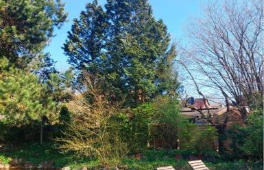 1100 - Reetdachhaus in Grube - Foto 37