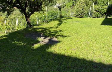 Valtellinda - Foto 21