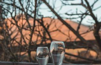 Sea View Pod Close to Mountains / Snowdonia - Foto 9