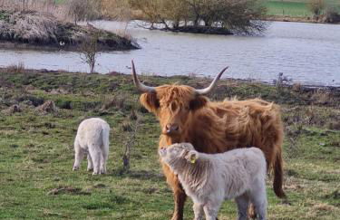 Emstaler Auszeit - Foto 18