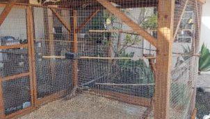 casa para alugar Blumenau SC - Foto 4