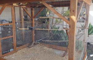 casa para alugar Blumenau SC - Foto 4