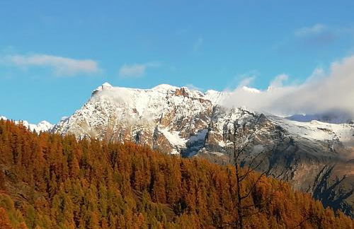 Espace et confort de 45 m2 dans station familiale à 1800 - Photo 25