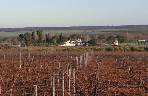 Casa Rural Señorio de Quevedo - Foto 36