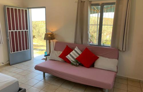 Olive Hill Private House - Foto 37