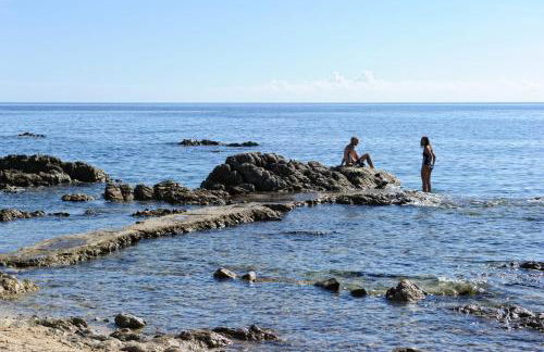 Domaine de Pianiccia - Foto 11