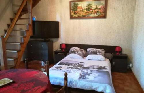 Studio duplex 2 Lac des Montagnès - Photo 3