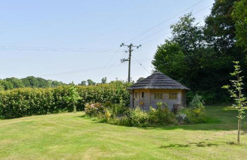 The Bee Hive - Photo 19