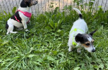 Corner House Plesna - Foto 38