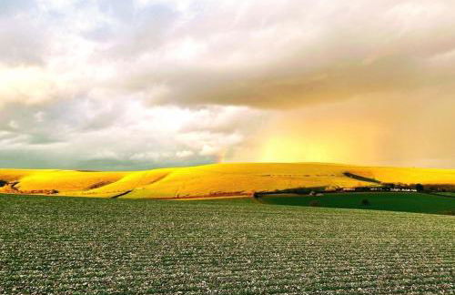 Kings Cottage - Heart of the Deverills - EV Point - Foto 19