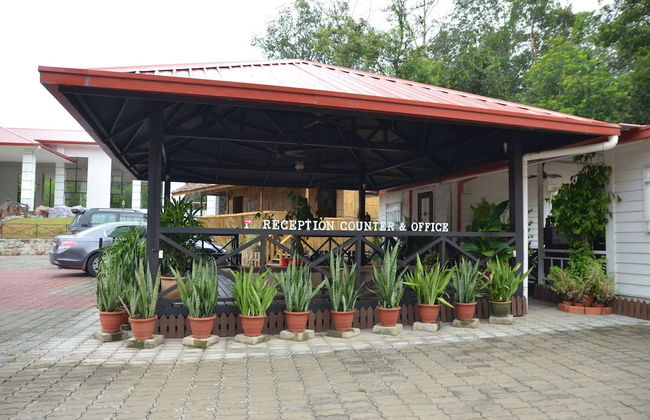 Borneo Tree House - Foto 3