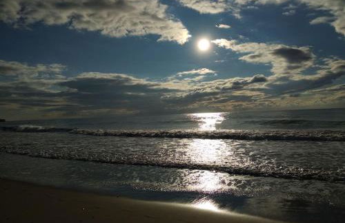 Calipso Tamarit - Foto 76