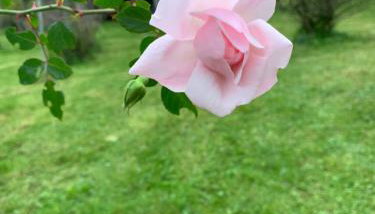 Dom z sadem - Foto 4