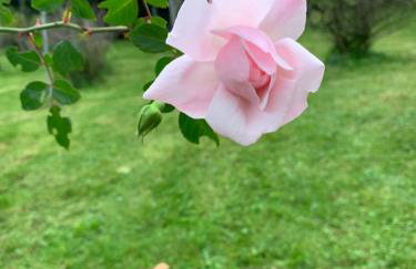 Dom z sadem - Foto 4