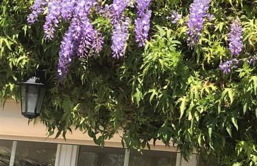 La Soleillade Laudun - Foto 40