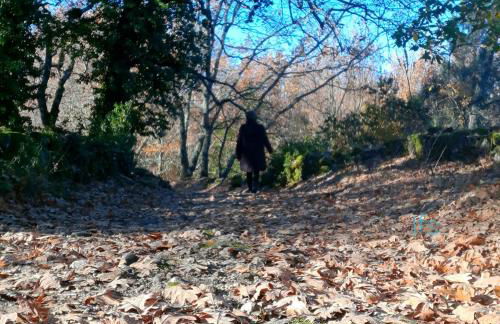 La Dueña I - Photo 44