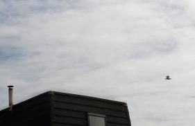 Bournemouth Beach & Sea Views - Foto 39