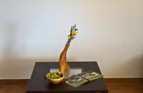 Apartments Krušvina - Foto 20