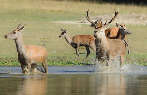 Le Cube Alpin - Cosy Studio - Vue Montagne - Gréolières les Neiges - Foto 34