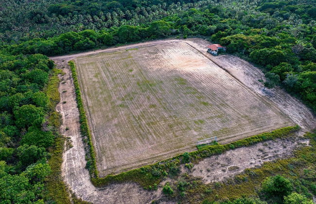 Chácara Shallon -São Miguel dos Milagres - Foto 28