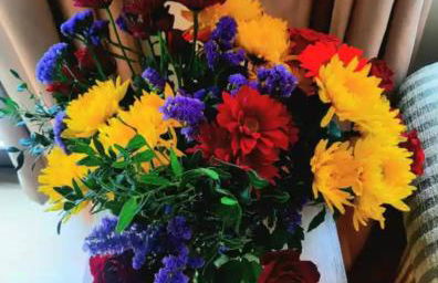 The Singing Heart, TirNaNog Cozy Cottage near Lochgilphead !!HIDDEN GEM!! - Foto 15