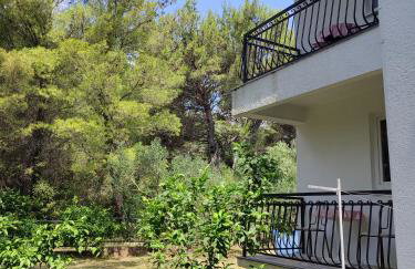 Apartments Glibić - Foto 51