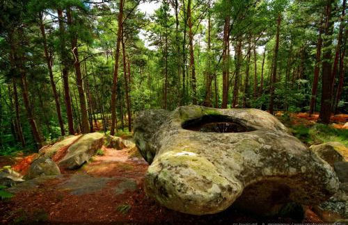 Gîte à la ferme avec sauna, forêt de Fontainebleau - Foto 22