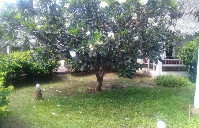 Lion Villa - Foto 22