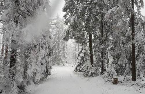 Holiday home in the Harz Mountains with 3 bedrooms - Foto 29