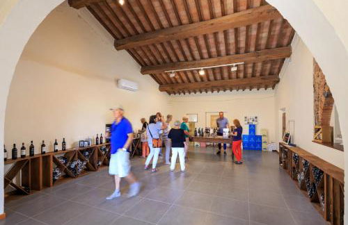 Agriturismo Streda Wine & Country Holiday - Foto 134