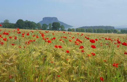 Ferienhaus Helmig - Foto 21