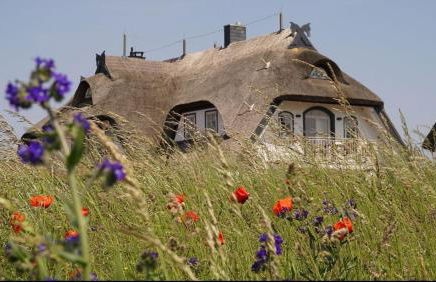 Taun Hövt - Foto 32