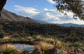 Villa Harmony - Foto 3