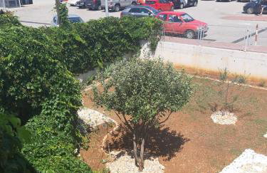 Apartments Iris - Photo 44