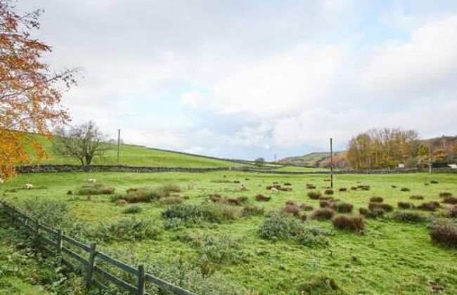 Host Stay South View - Foto 27