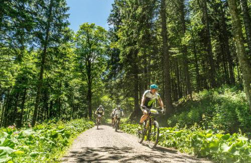 Hus im Schwefelmättle, Hinterzarten - Foto 18