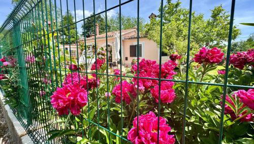 Apartman Marija - Foto 2, Garden, Garden view