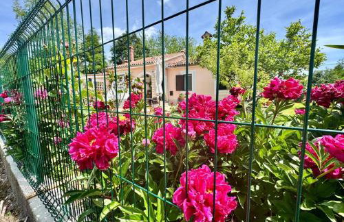 Apartman Marija - Foto 2