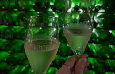 Ferienwohnung Moselflair mit direktem Blick auf die Mosel und Weinberge - Foto 26